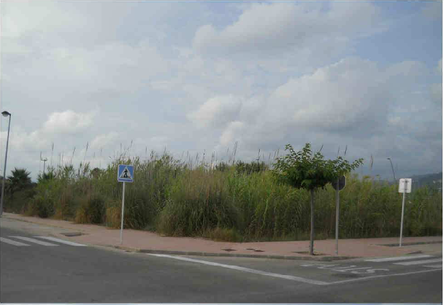 Ref SH60460925 1546m2 Land for sale in Piles, Valencia, Spain